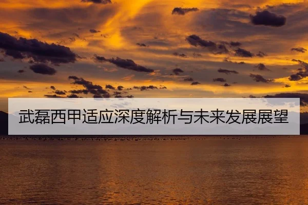 武磊西甲适应深度解析与未来发展展望